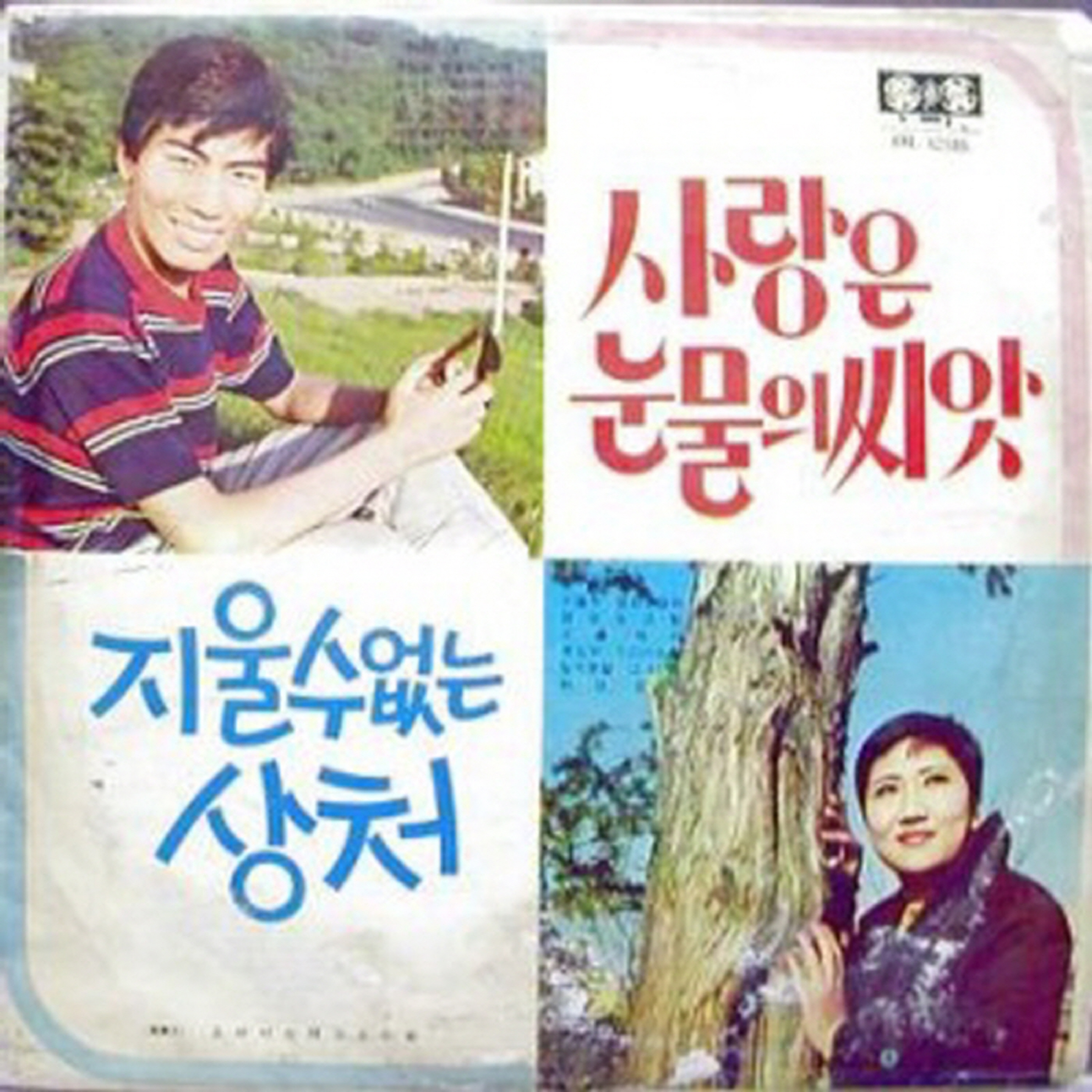 Image Cover